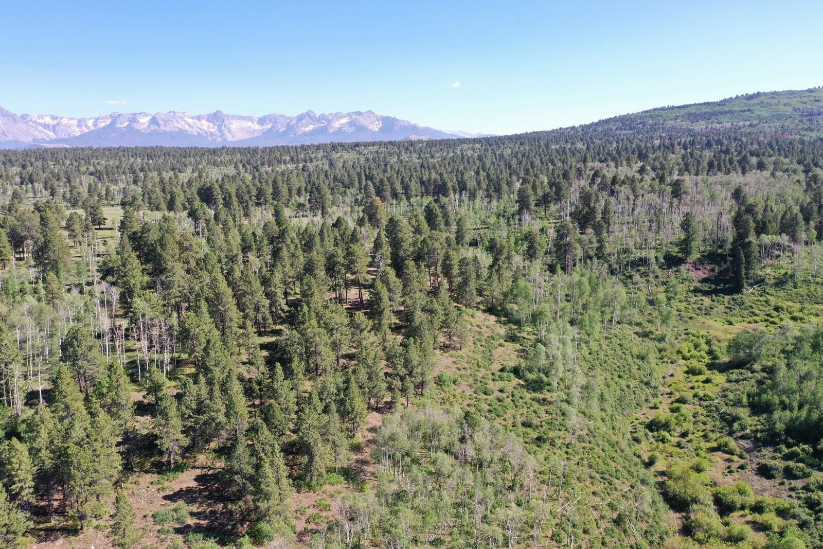 TBD Horsefly Mesa Telluride Luxury Rentals and Real EstateTelluride