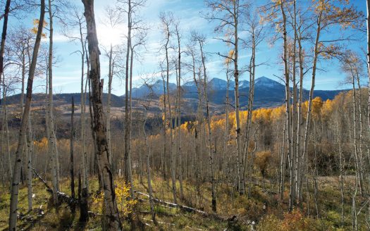 TBD Little Cone Ranch Road