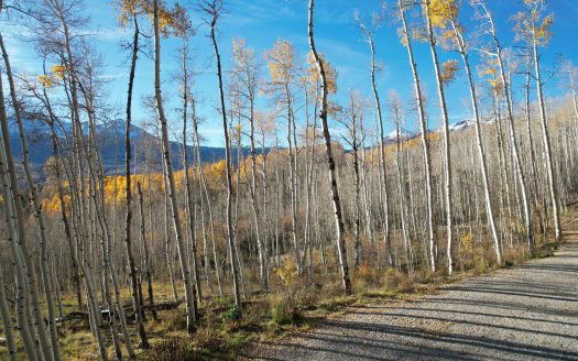 TBD Little Cone Ranch Road