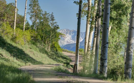 6131 Last Dollar Road Road