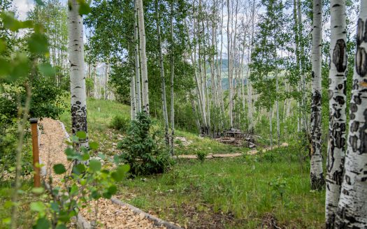 6131 Last Dollar Road Road