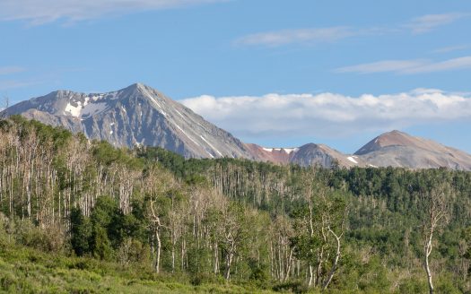 5109 County Road M44