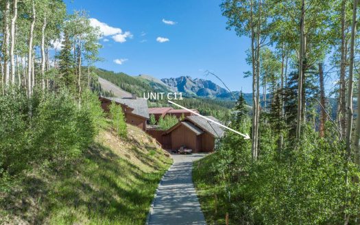 #11 Coonskin Ridge Lane