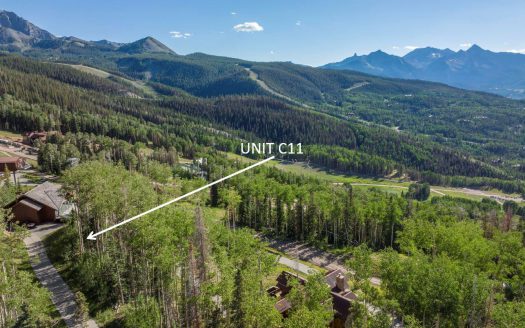 #11 Coonskin Ridge Lane