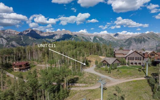 #11 Coonskin Ridge Lane