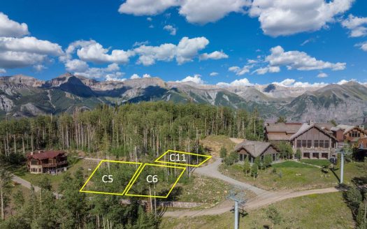 #11 Coonskin Ridge Lane