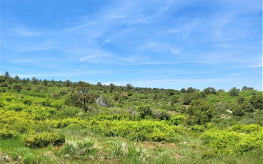 10 North Reserve Trail