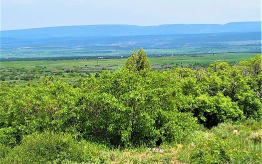 10 North Reserve Trail