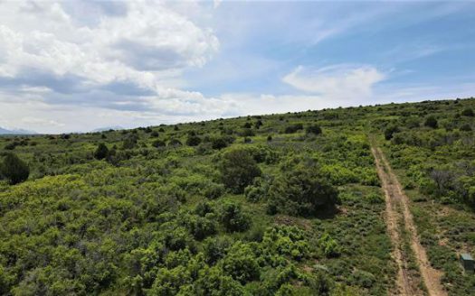 10 North Reserve Trail