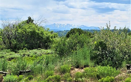 10 North Reserve Trail