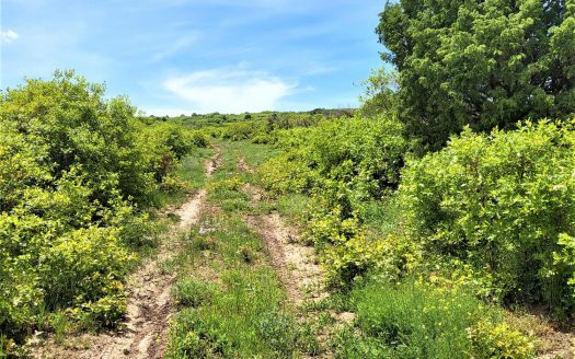 10 North Reserve Trail