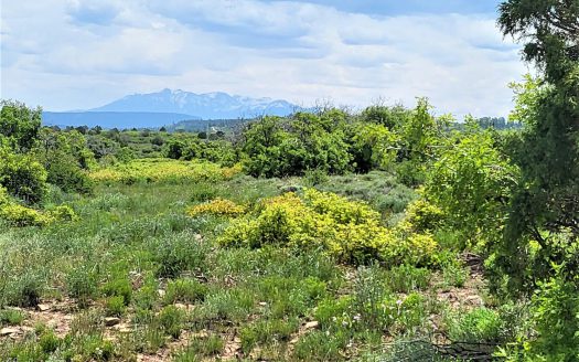 10 North Reserve Trail