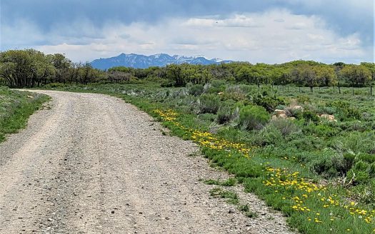 10 North Reserve Trail