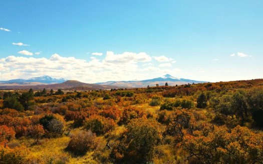 33 Gurley Lake Drive