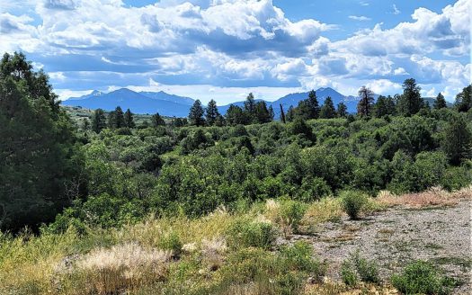 33 Gurley Lake Drive