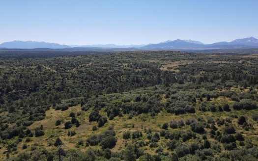 33 Gurley Lake Drive