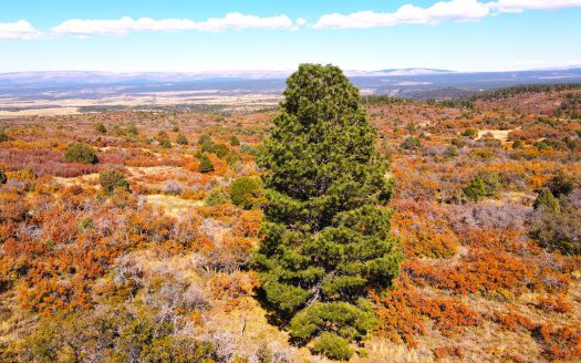 33 Gurley Lake Drive