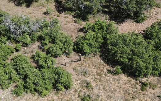 33 Gurley Lake Drive