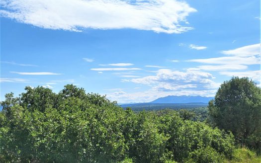 33 Gurley Lake Drive