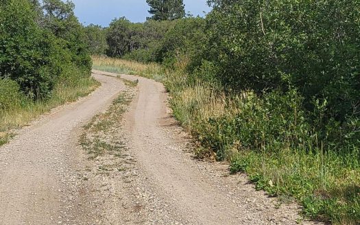 33 Gurley Lake Drive