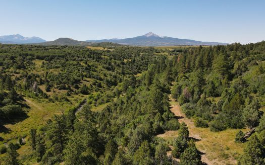 33 Gurley Lake Drive