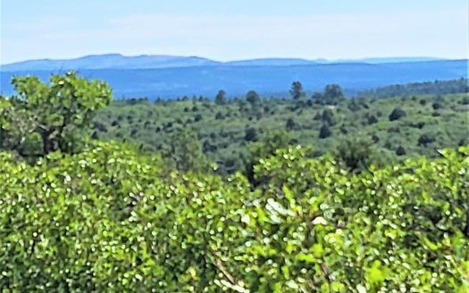 33 Gurley Lake Drive