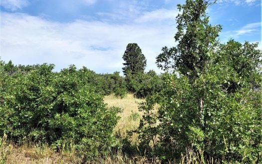 33 Gurley Lake Drive