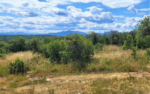 33 Gurley Lake Drive