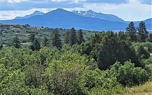 33 Gurley Lake Drive