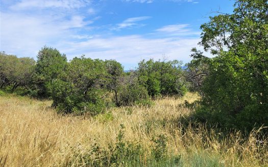 33 Gurley Lake Drive