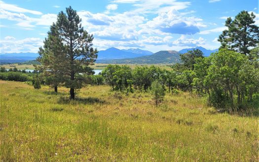 33 Gurley Lake Drive