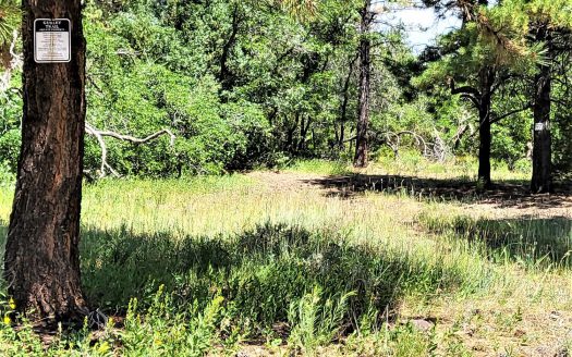 33 Gurley Lake Drive