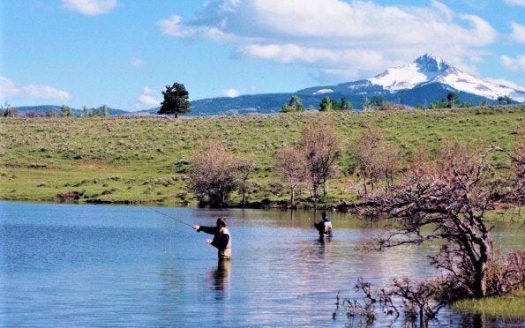 33 Gurley Lake Drive