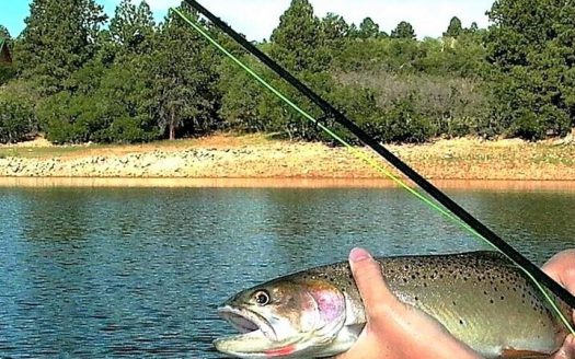 33 Gurley Lake Drive