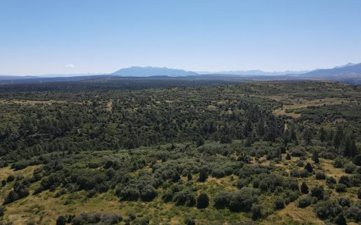 33 Gurley Lake Drive