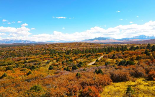 33 Gurley Lake Drive