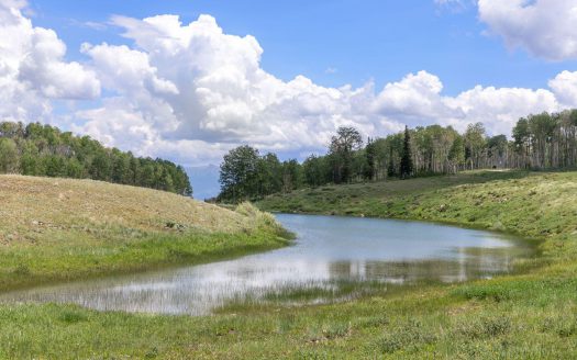 TBD Little Rose Lane