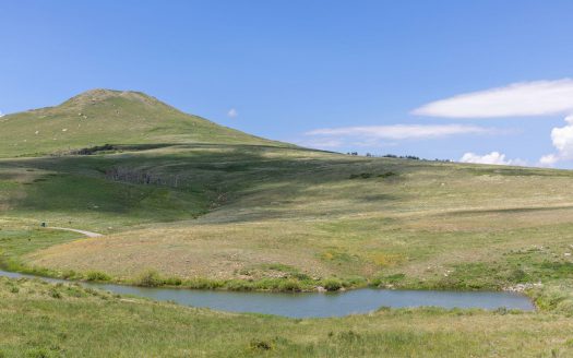 TBD Little Rose Lane