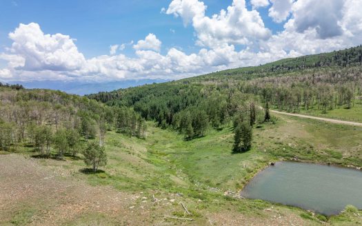 TBD Little Rose Lane