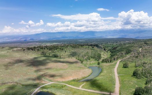 TBD Little Rose Lane