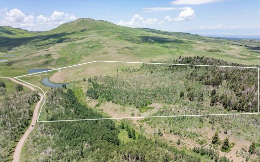 TBD Little Rose Lane