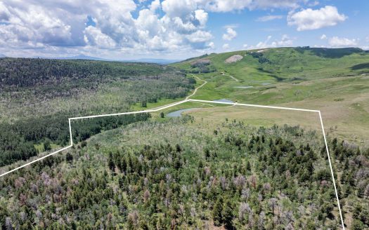 TBD Little Rose Lane