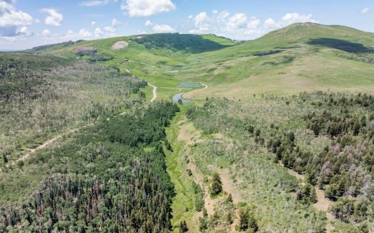 TBD Little Rose Lane