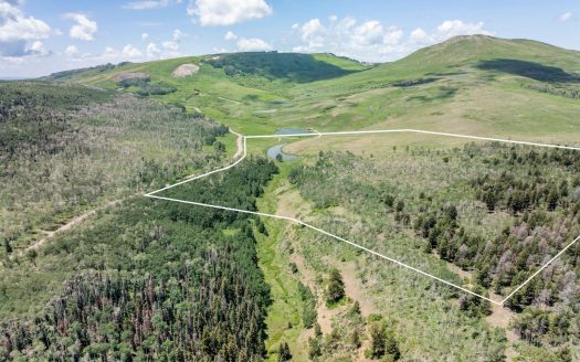 TBD Little Rose Lane