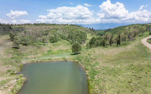 TBD Little Rose Lane