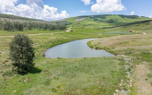 TBD Little Rose Lane