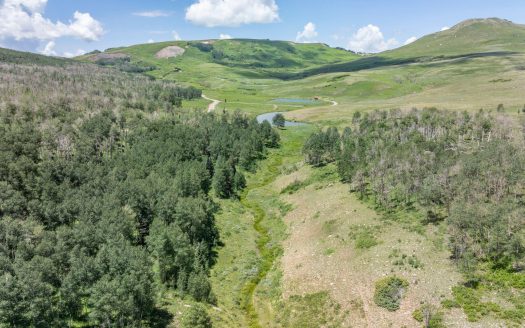 TBD Little Rose Lane