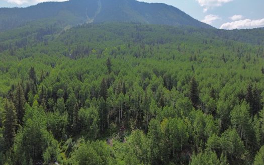 S 25 Garfield Street