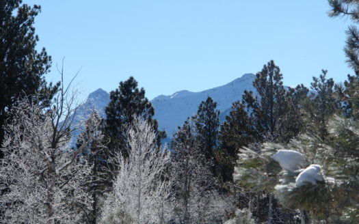 W 80 Piney Woods Way