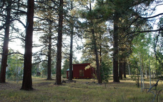 W 80 Piney Woods Way